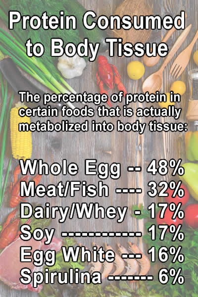 the amount of protein consumed that becomes body tissue