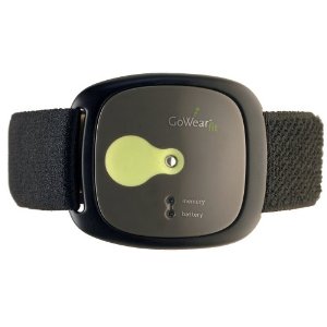 GoWear fit Lifestyle and Calorie Management System